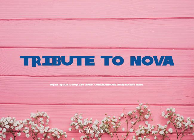 Tribute to Nova example